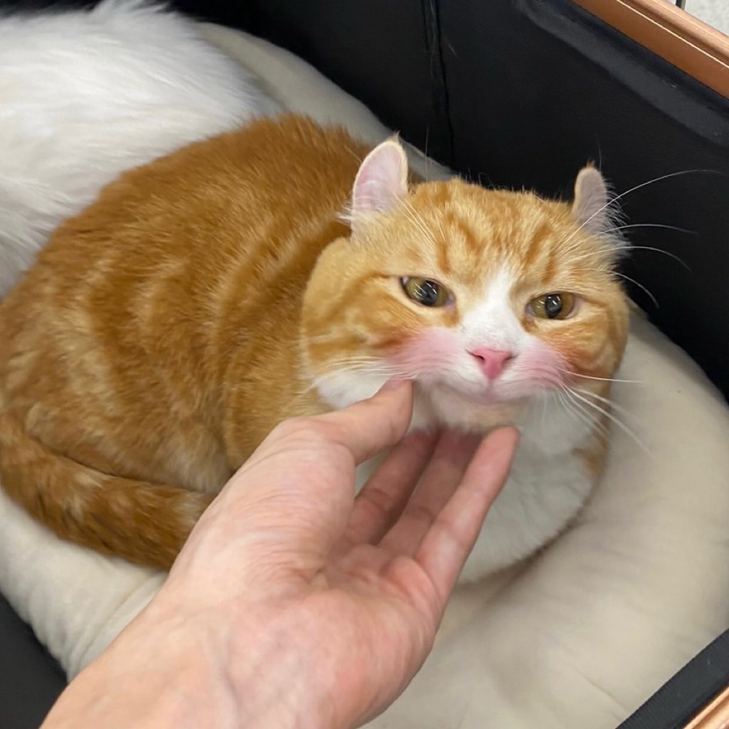 พ่อน้องกล้วย tweet media