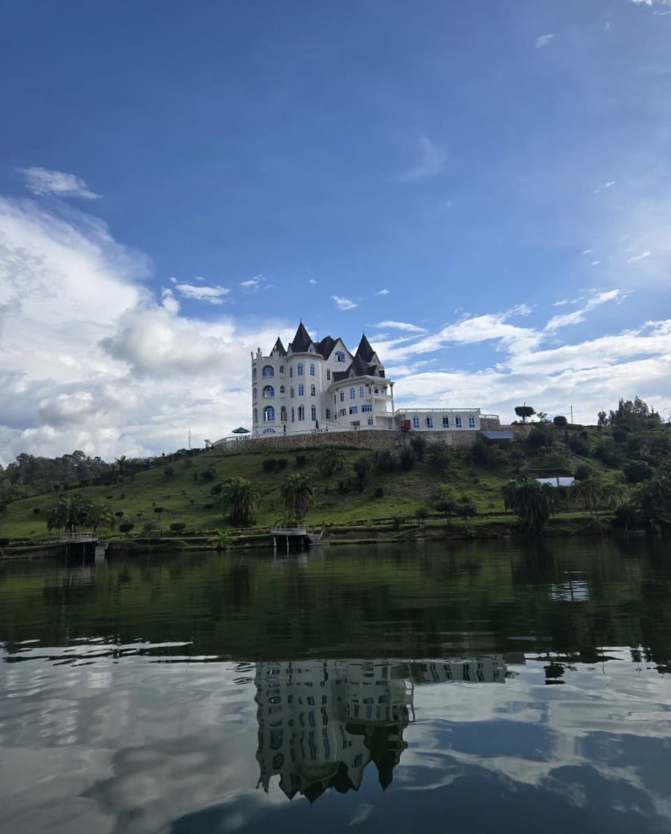 Afrojungle tweet media