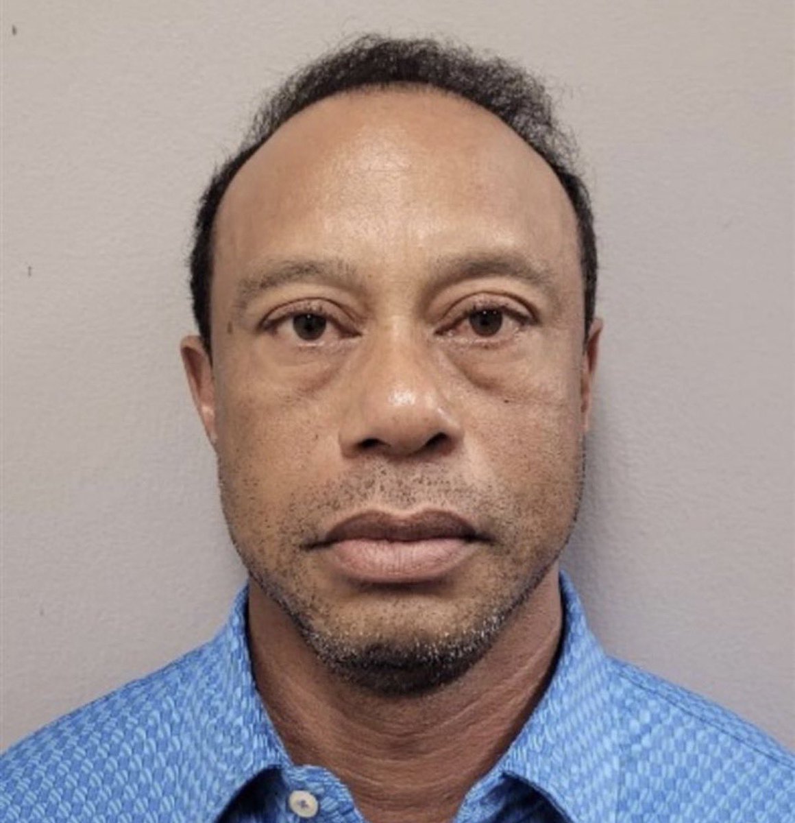 Phony Reality Reaper tweet media