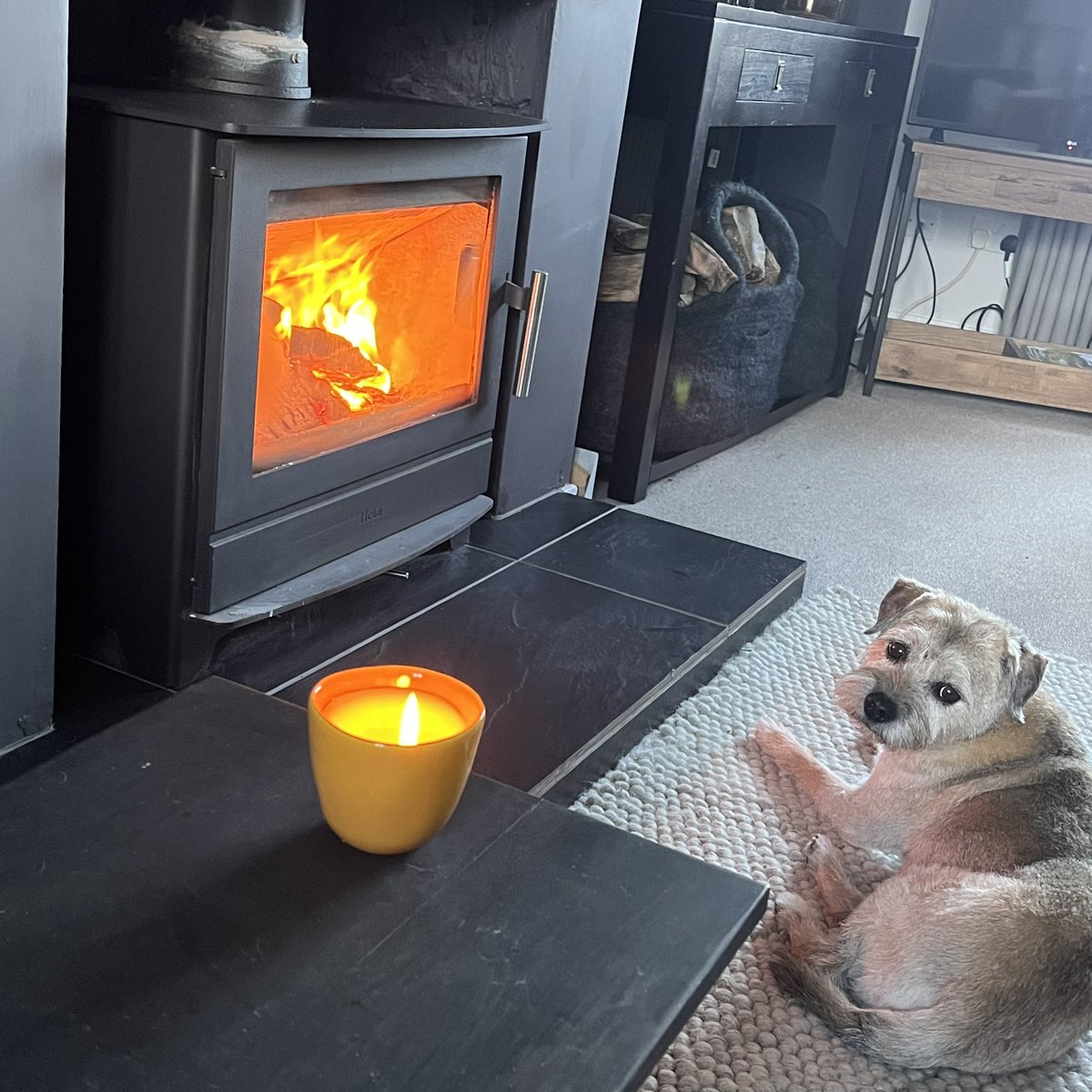 Gilbert🌈nJoe tweet media