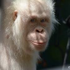 PainEnjoyer tweet media