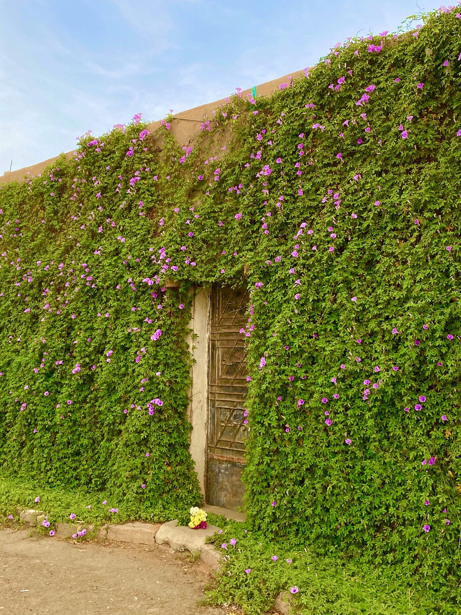 عبدالله tweet media