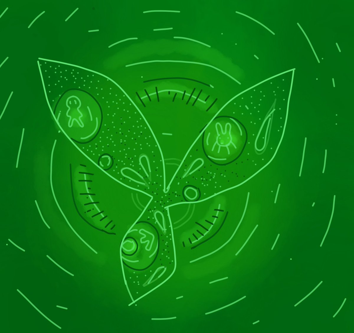 Барханне tweet media