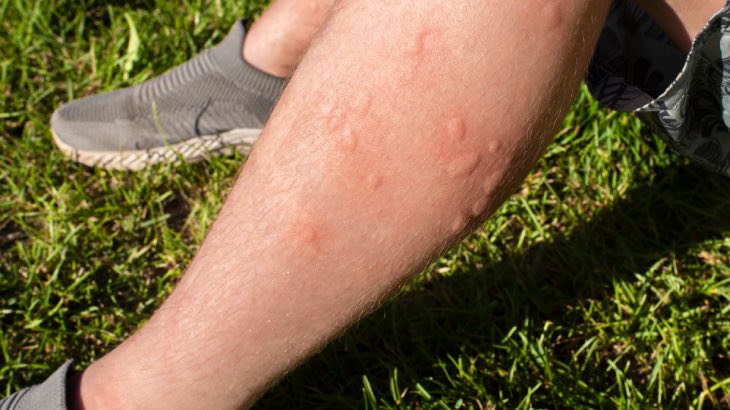 MiniSpace tweet media