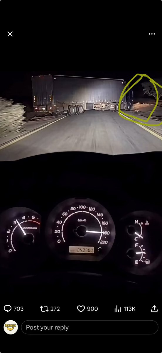 Banana 🍌 tweet media