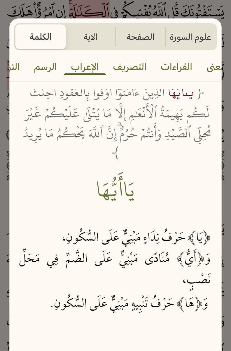 سِيبَوَيْه | رَجُل tweet media