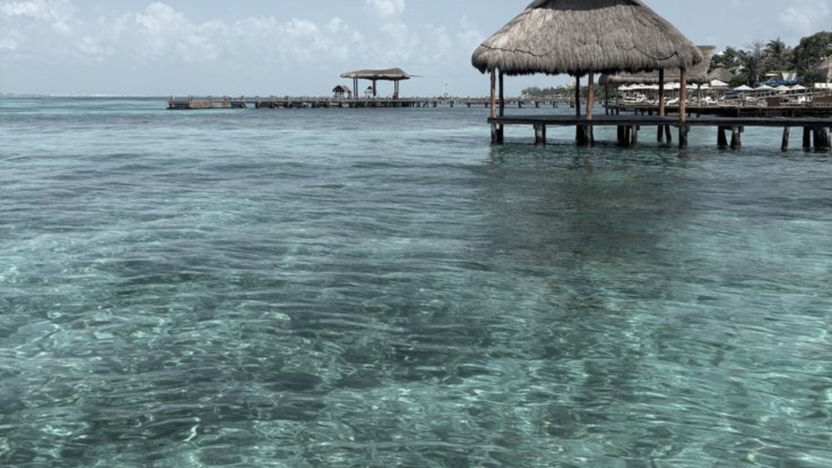 𝐍𝐎𝐕𝐀. tweet media