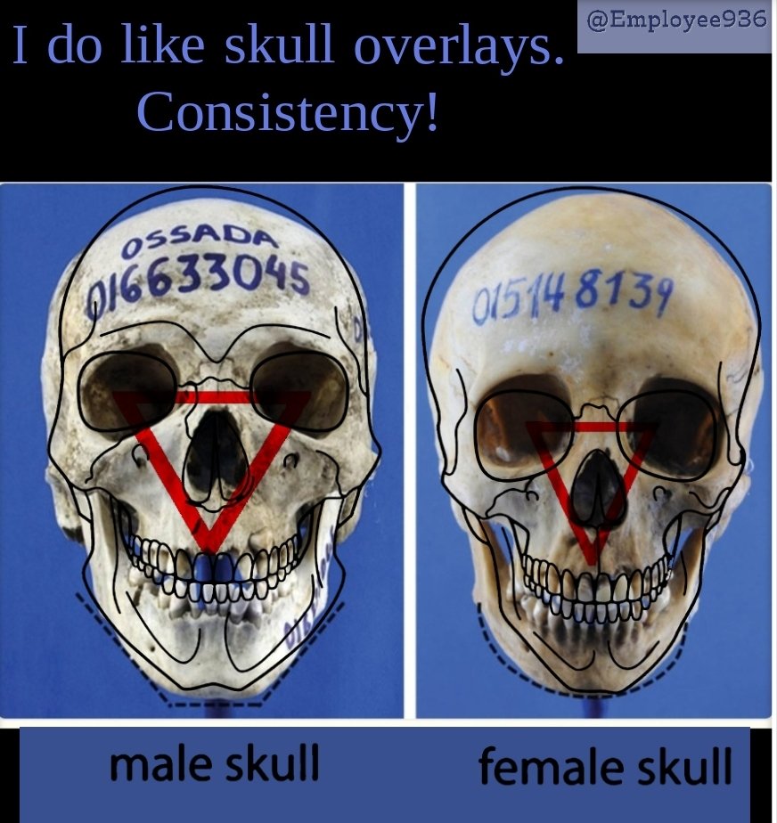 Employee936 🐊 tweet media