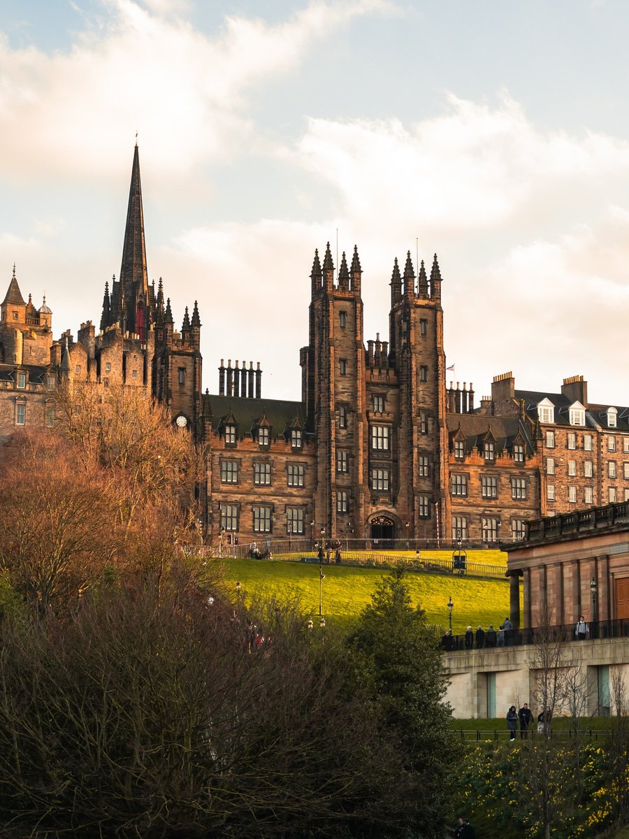 Travel Guide tweet media