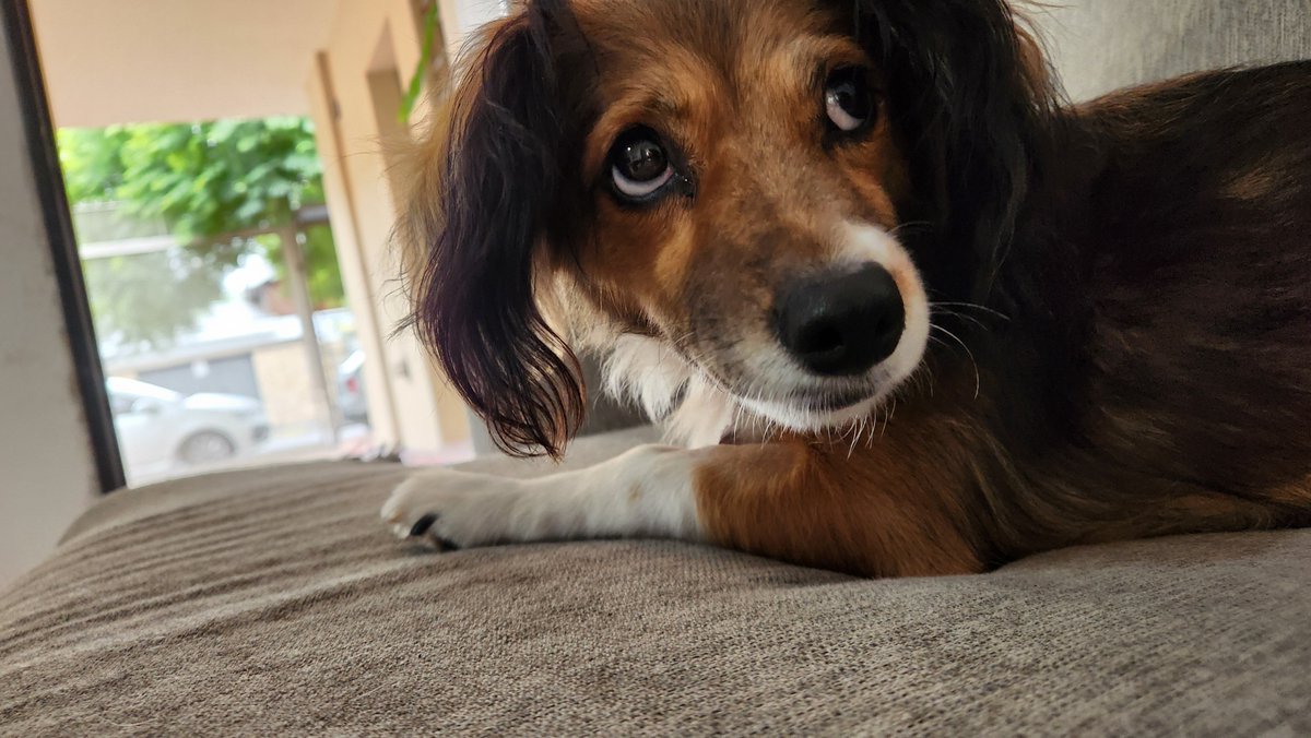 carito🇦🇷⭐⭐⭐ tweet media