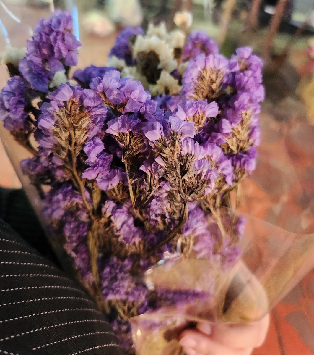 су анасы tweet media