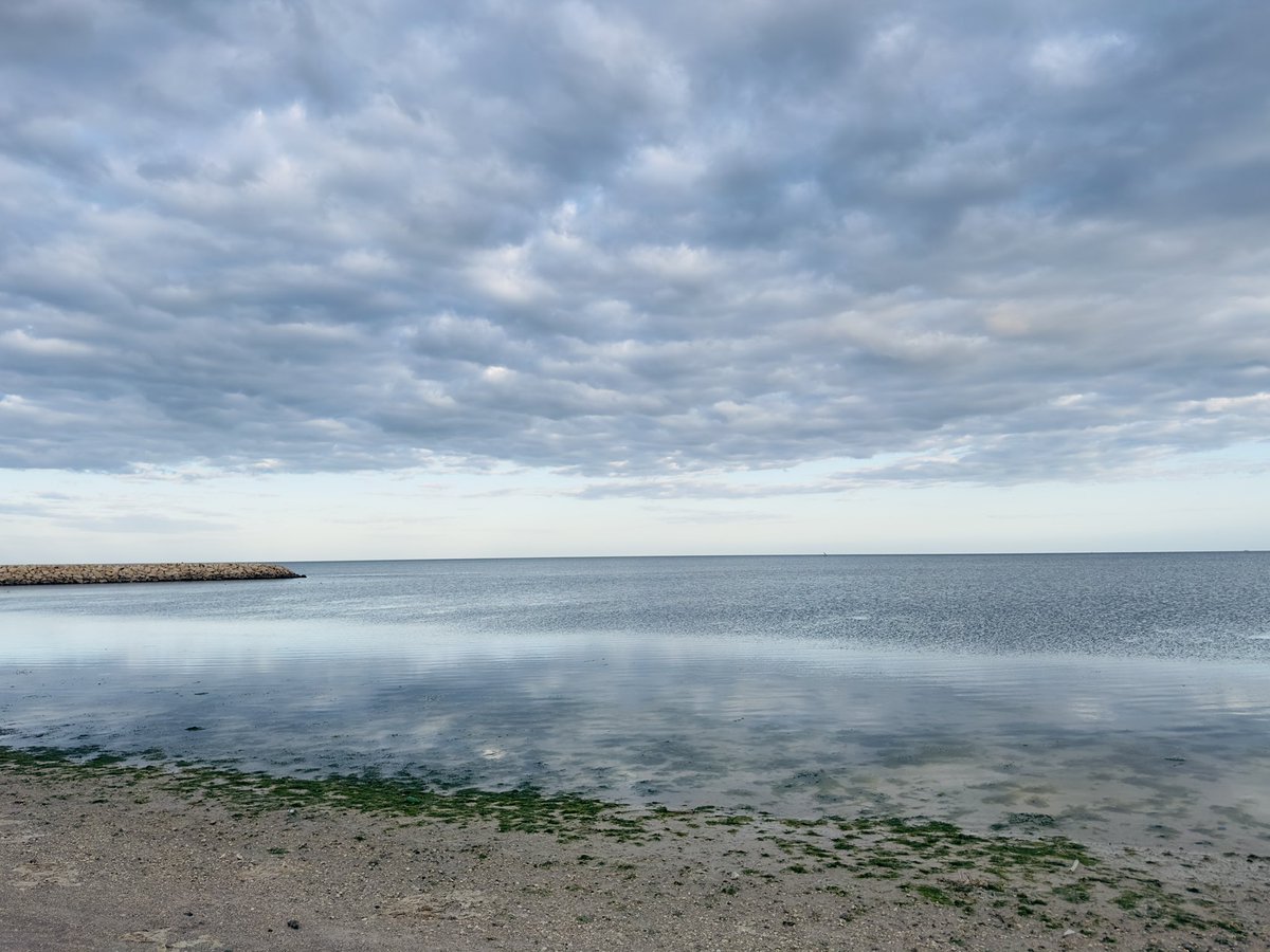 CreativeDude tweet media