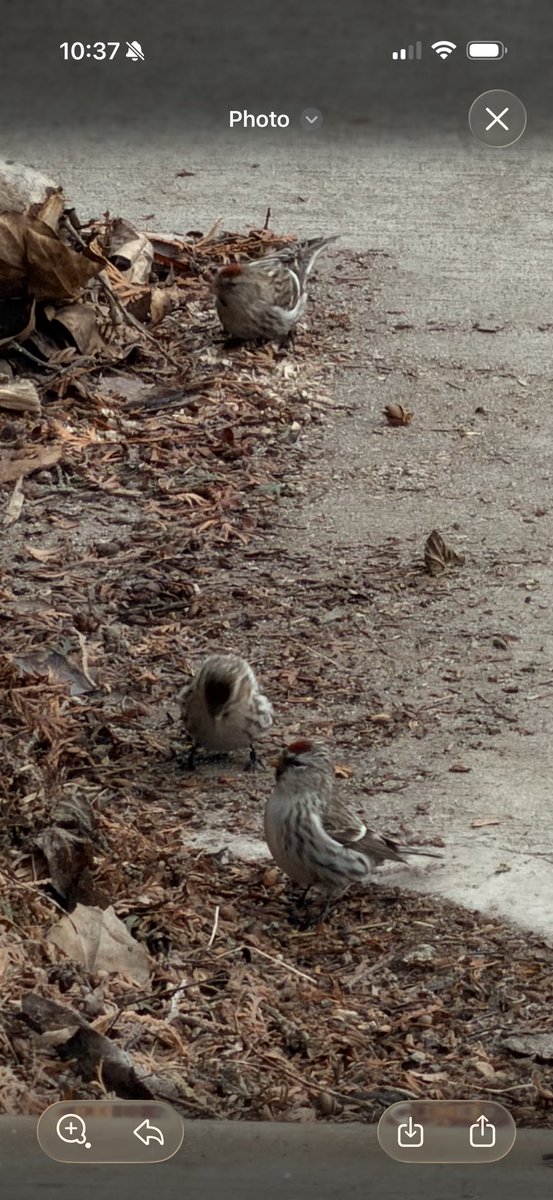 Mommy beautiful like a clown tweet media