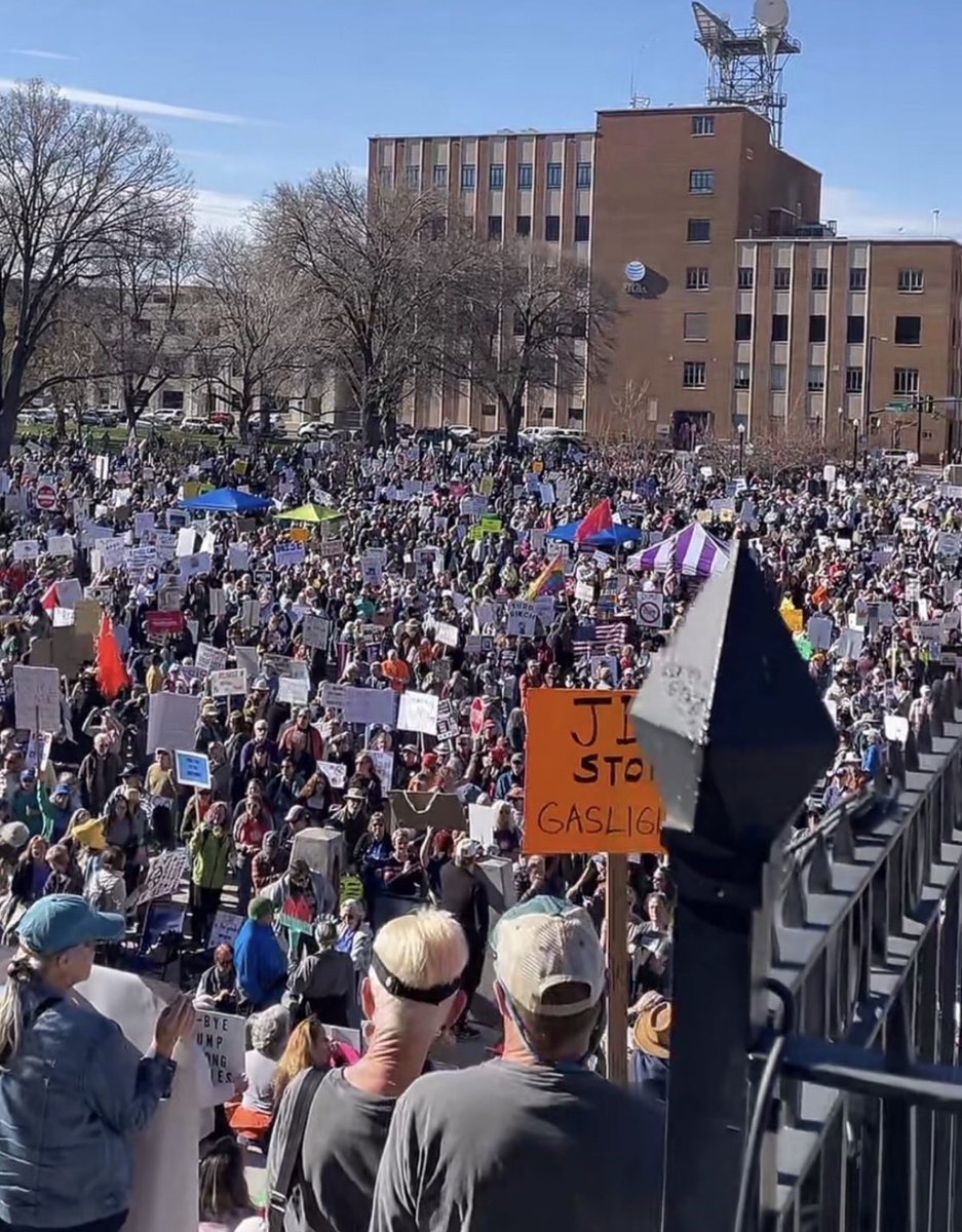 Molly Ploofkins tweet media