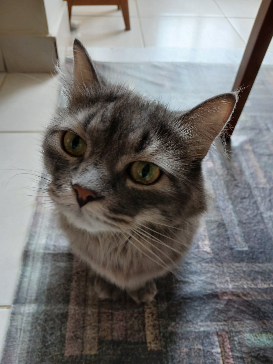 Felippe HD Linux tweet media