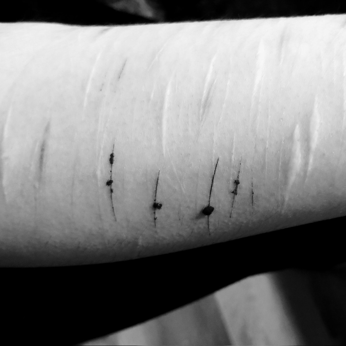 pacify | RUDO of shedtwt 🐺 tweet media