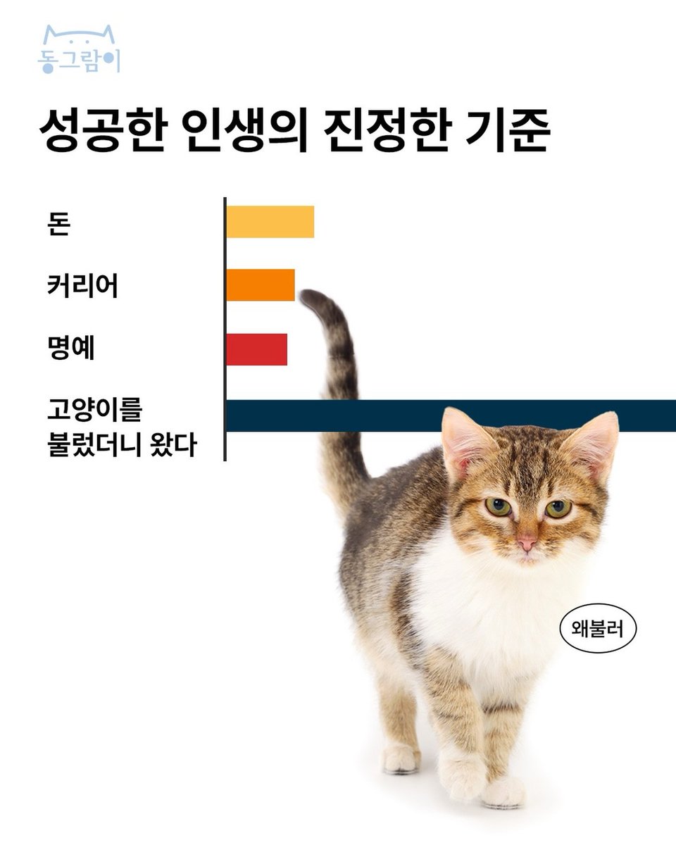 짤주워오는계정 tweet media