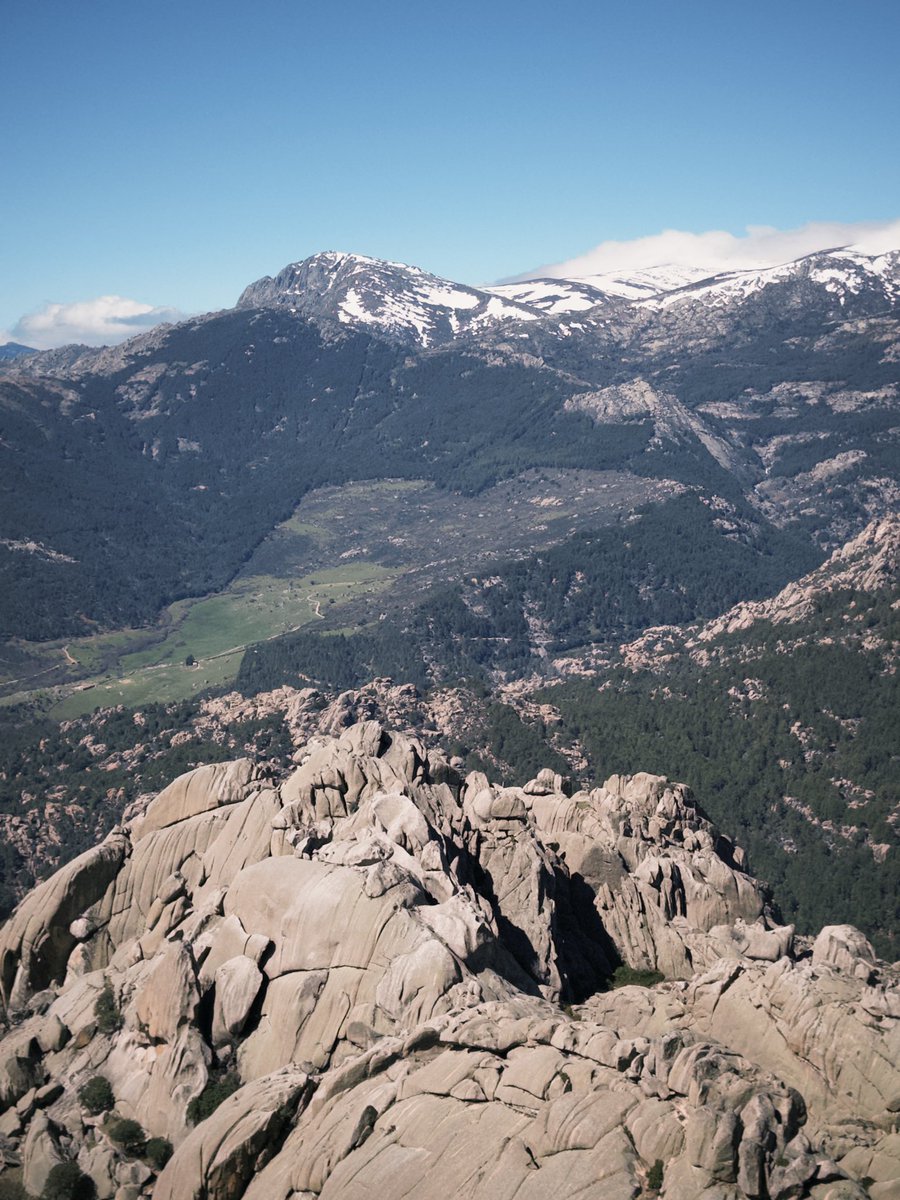 Blacked (+18) tweet media