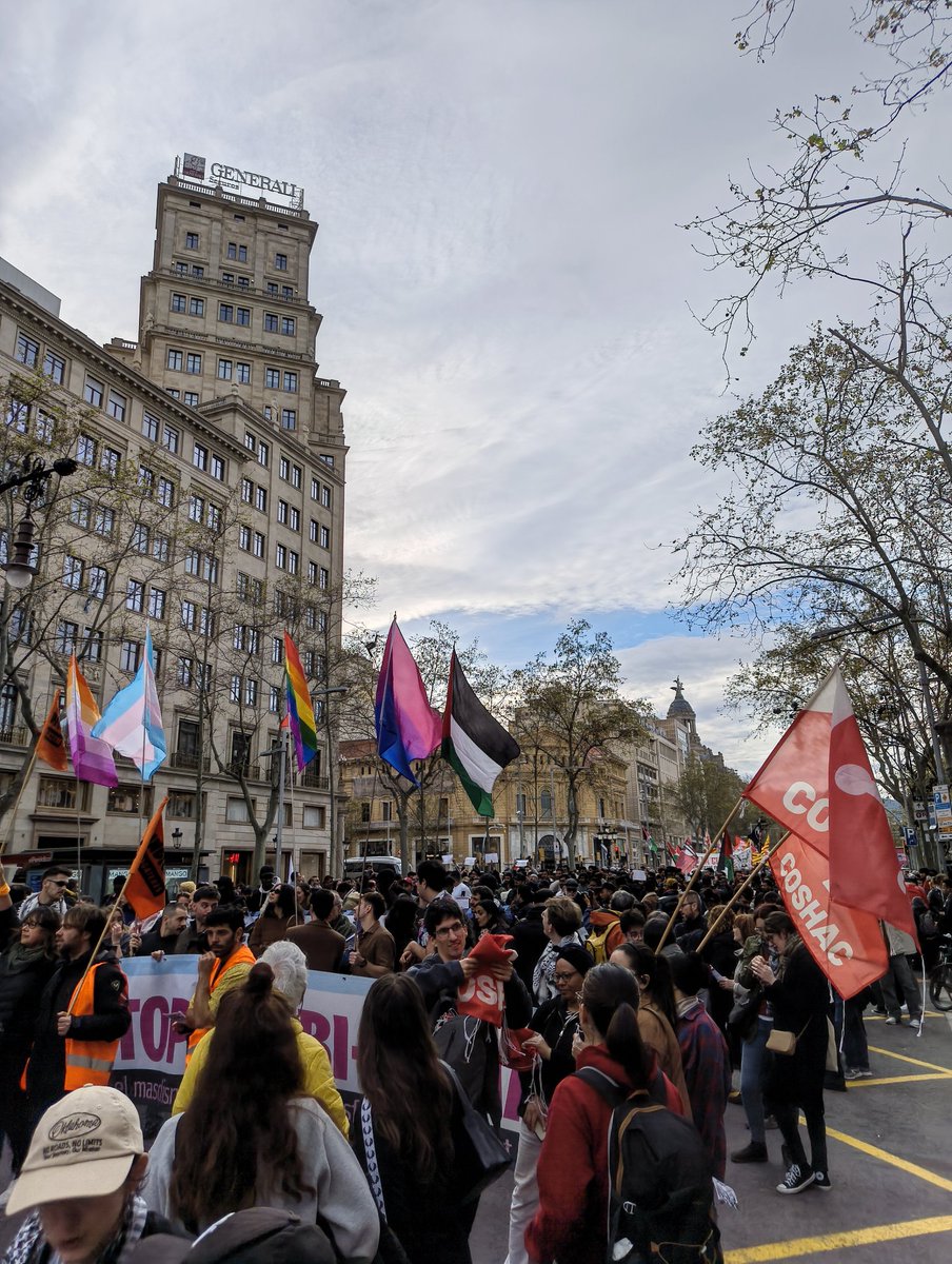 Adrià Plazas tweet media