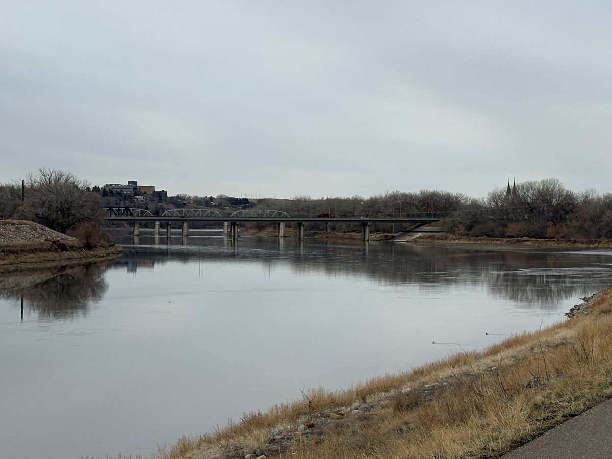 Curt Moll tweet media