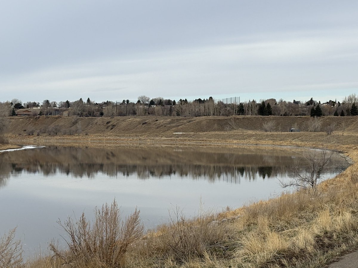 Curt Moll tweet media