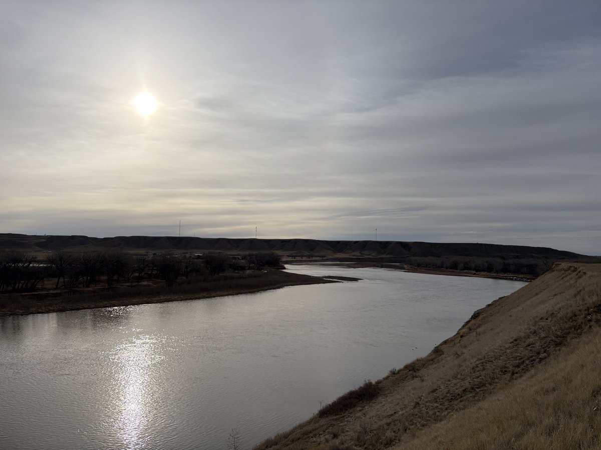 Curt Moll tweet media