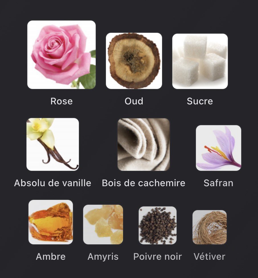 tomscent 🇵🇹 tweet media