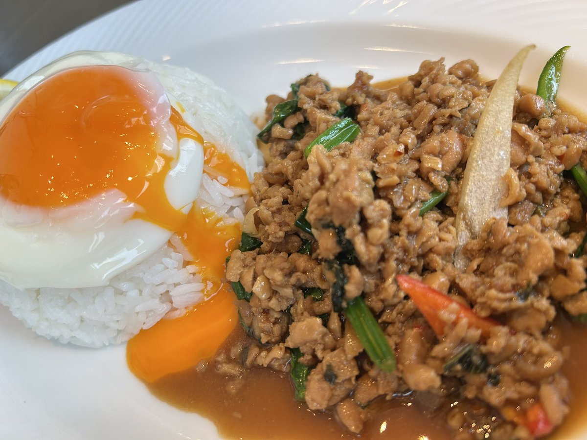 シャム猫娘 tweet media