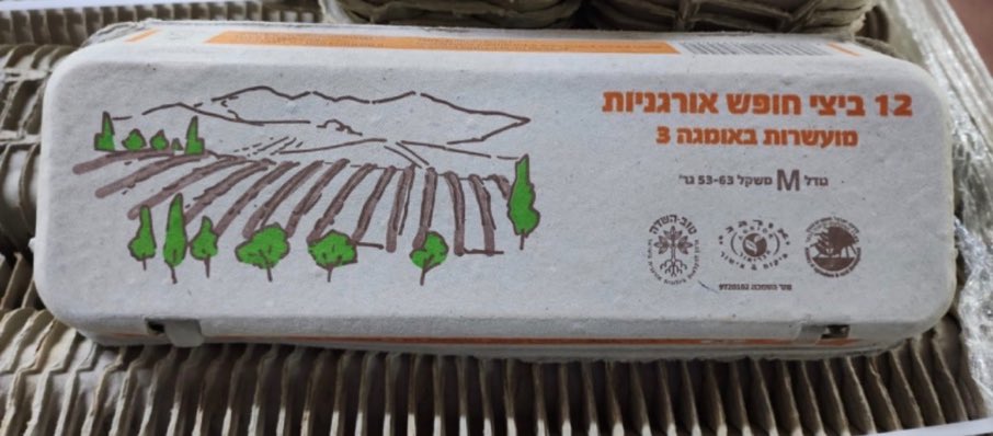 חֲנוֹךְ 🏝 tweet media