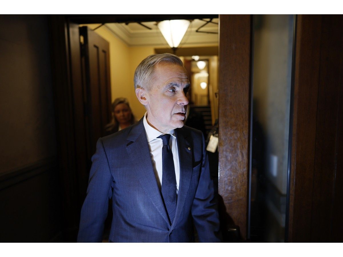 Telegraph-Journal tweet media