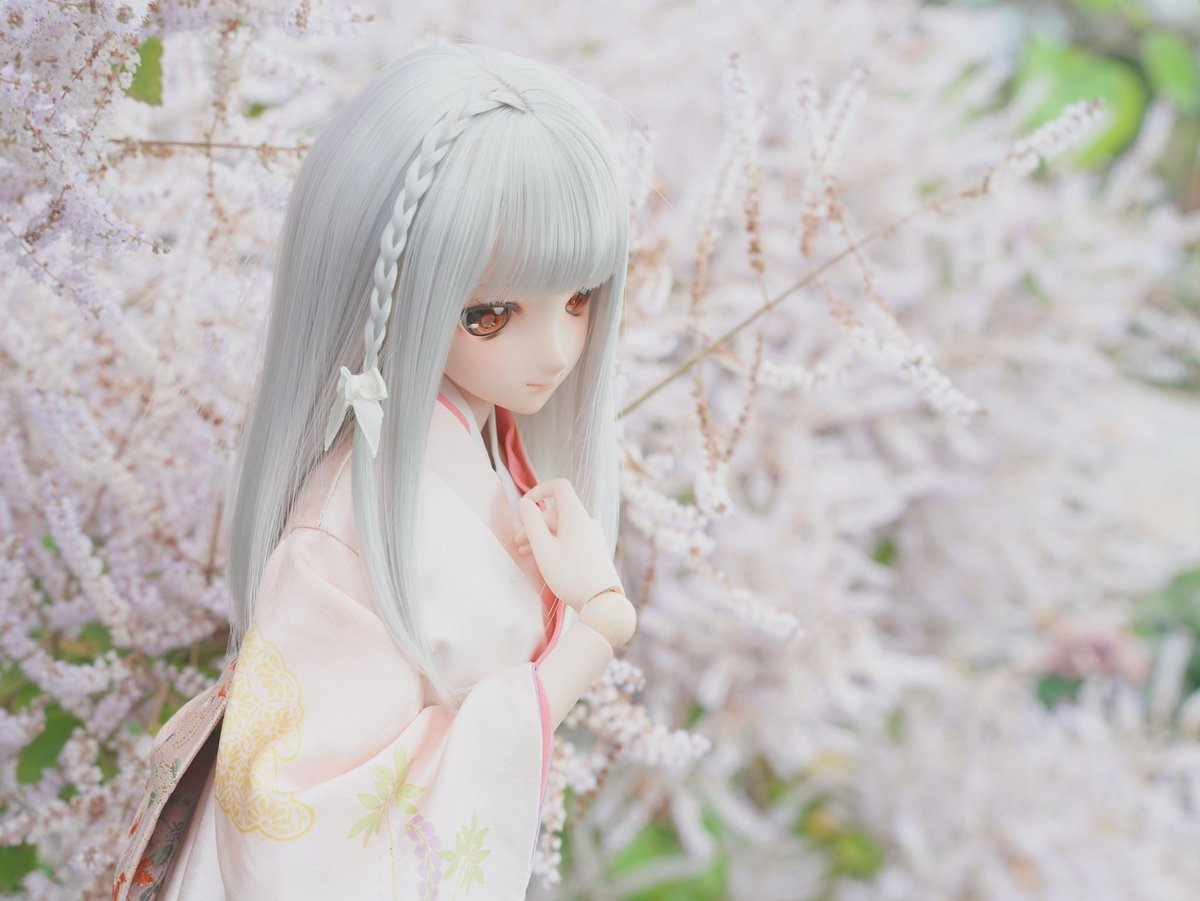 James Kung❄️ tweet media