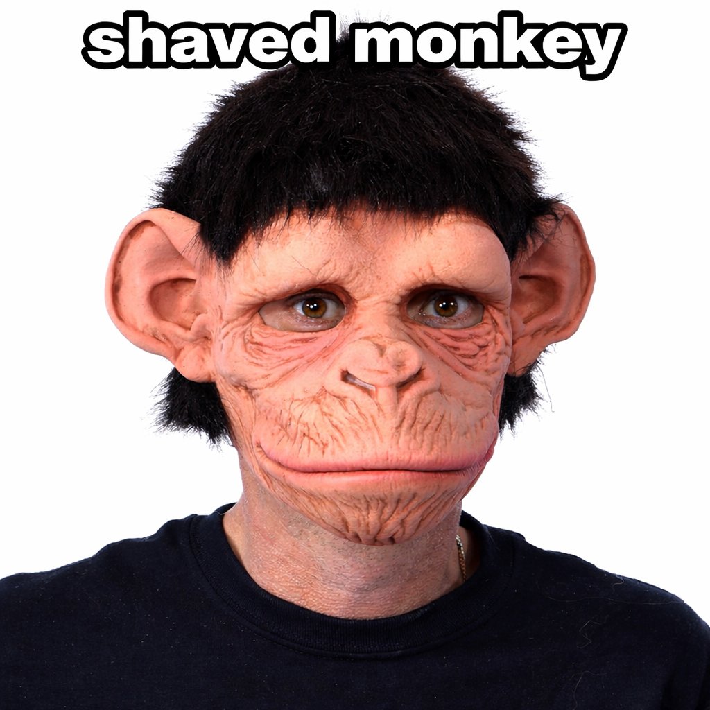 Life EnAfrica tweet media