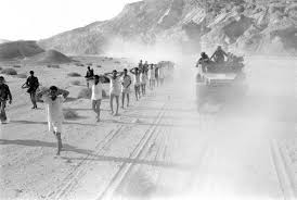 الحصن tweet media