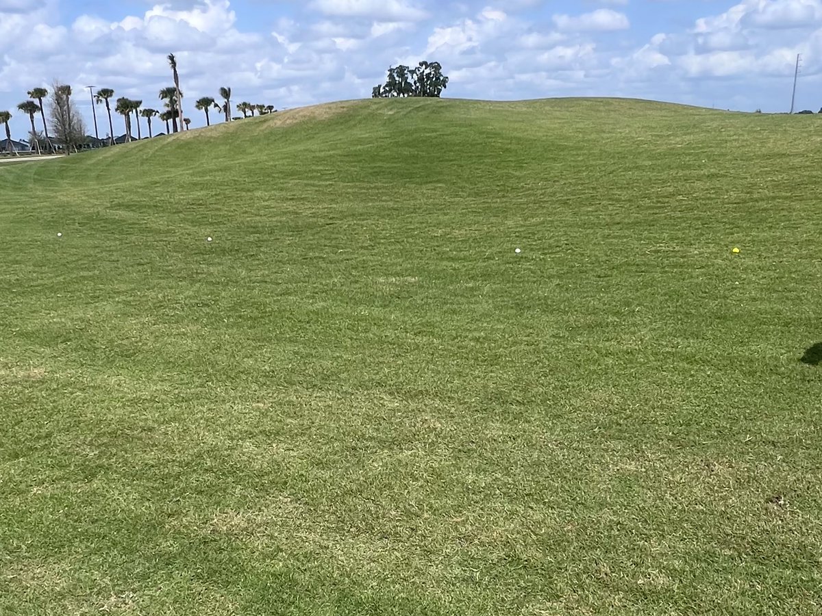 Squirrel1380 tweet media