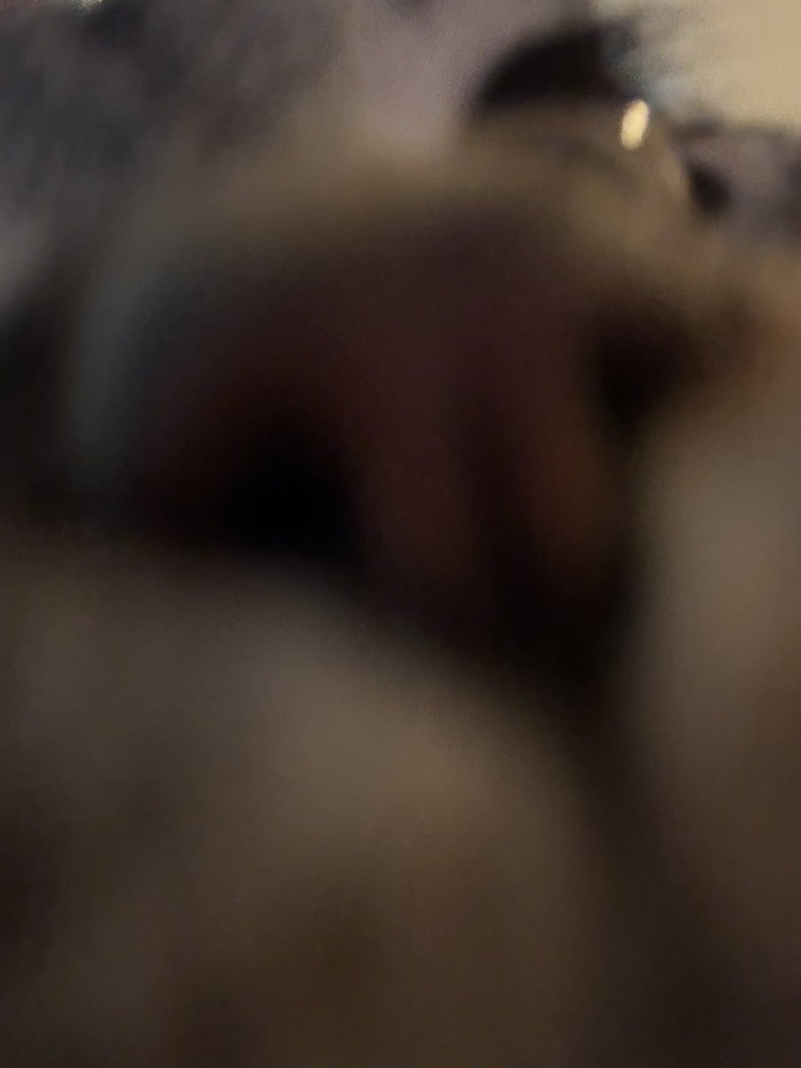 flimsy steve 🏒🧩🦍 tweet media