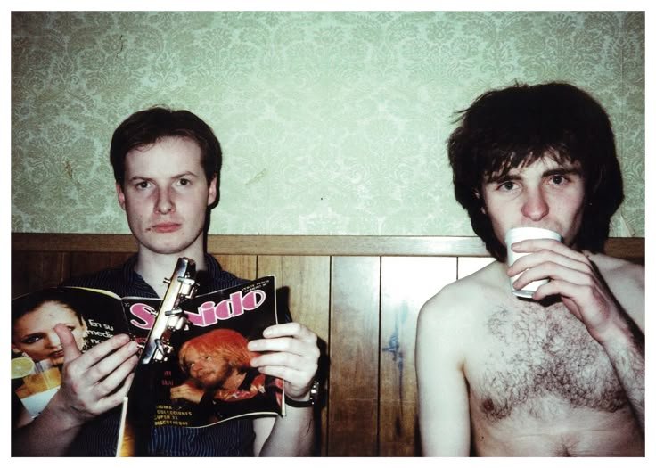 daily xtc 🍊🍋 tweet media