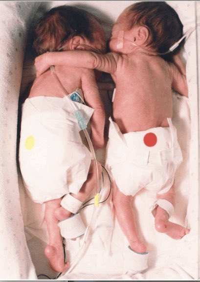 Isabel Fernández tweet media