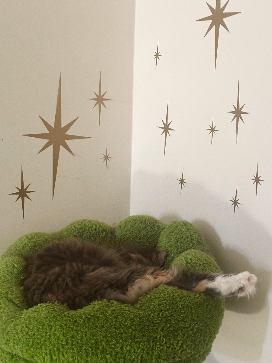 neopet sematary tweet media