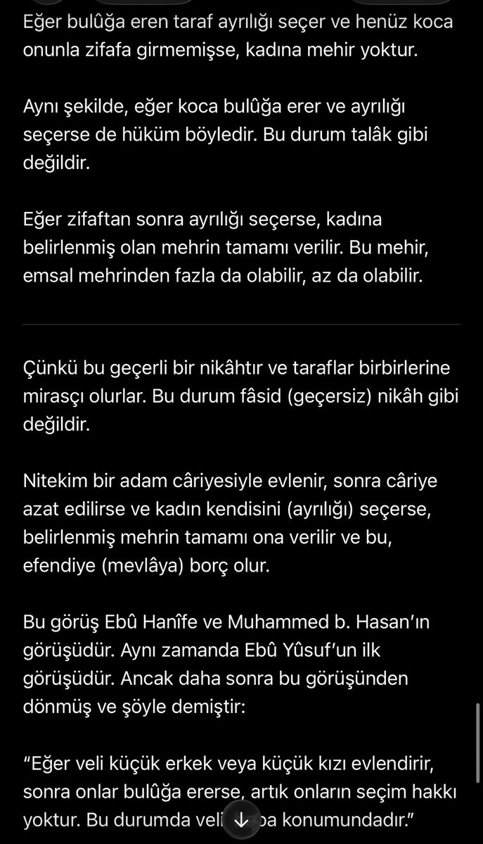 Afşîn et-Turkî tweet media