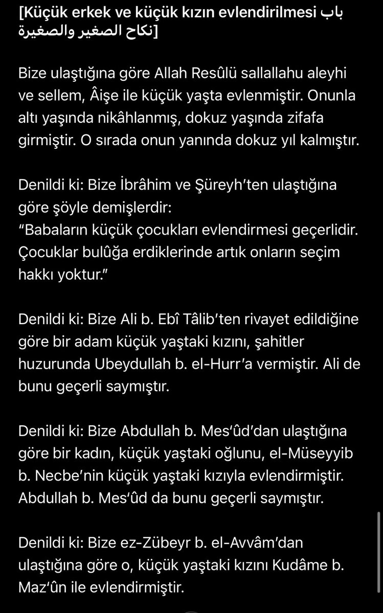 Afşîn et-Turkî tweet media