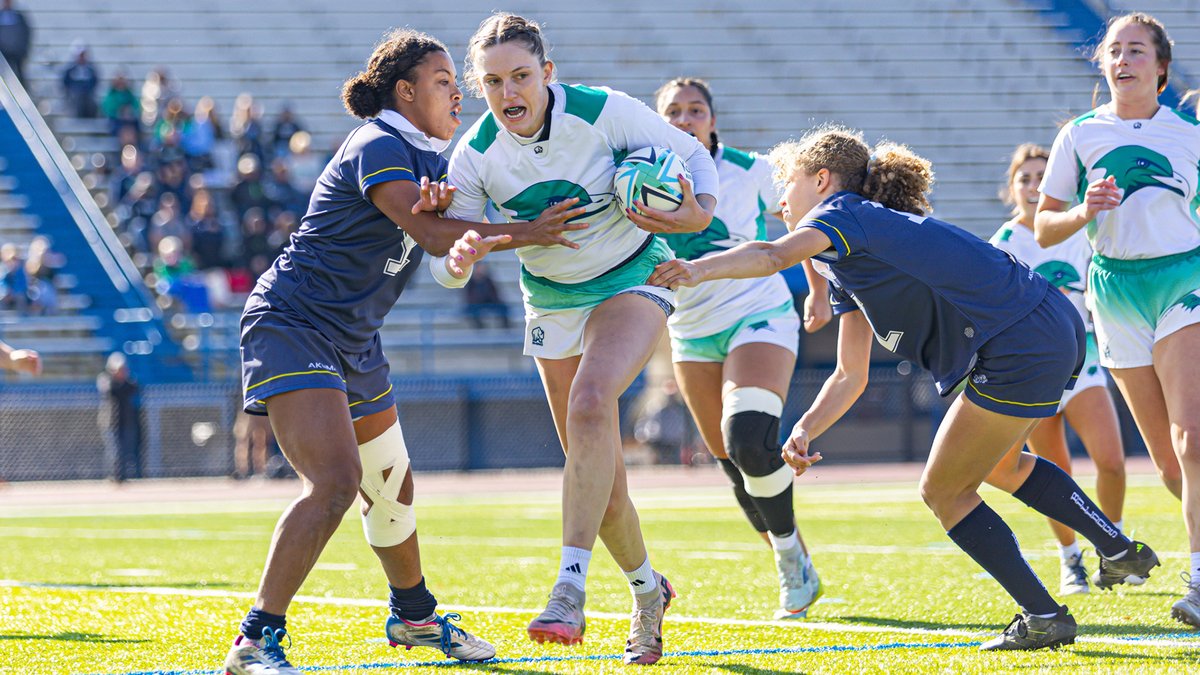 Endicott Athletics tweet media