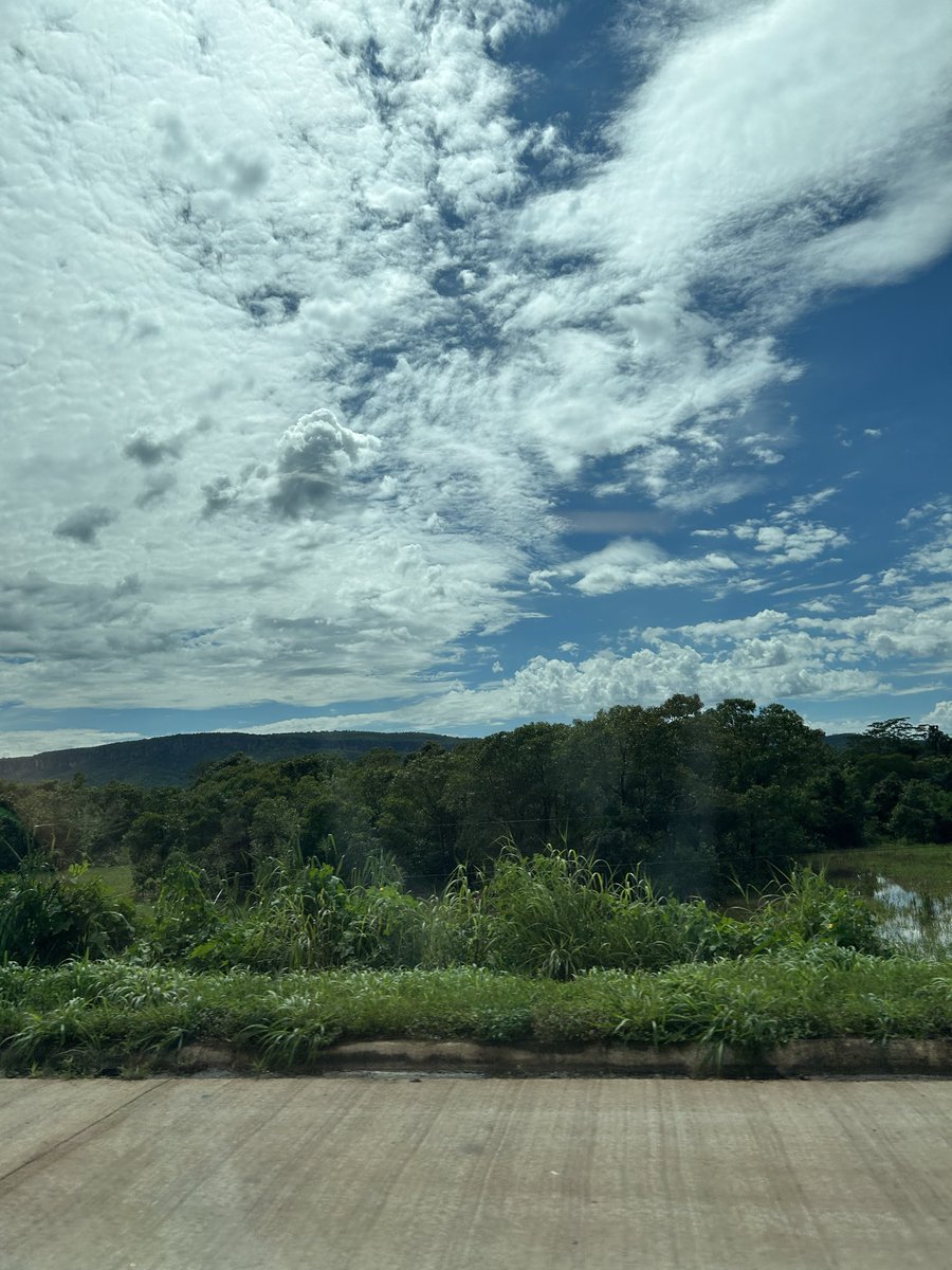 Gaara da PF tweet media