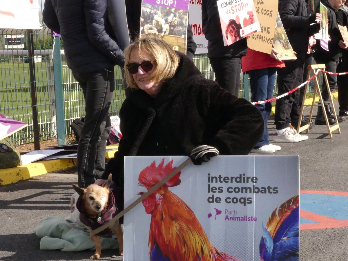 Sabine VG BCK Ⓥ🌻🇺🇦🐾🪶 tweet media