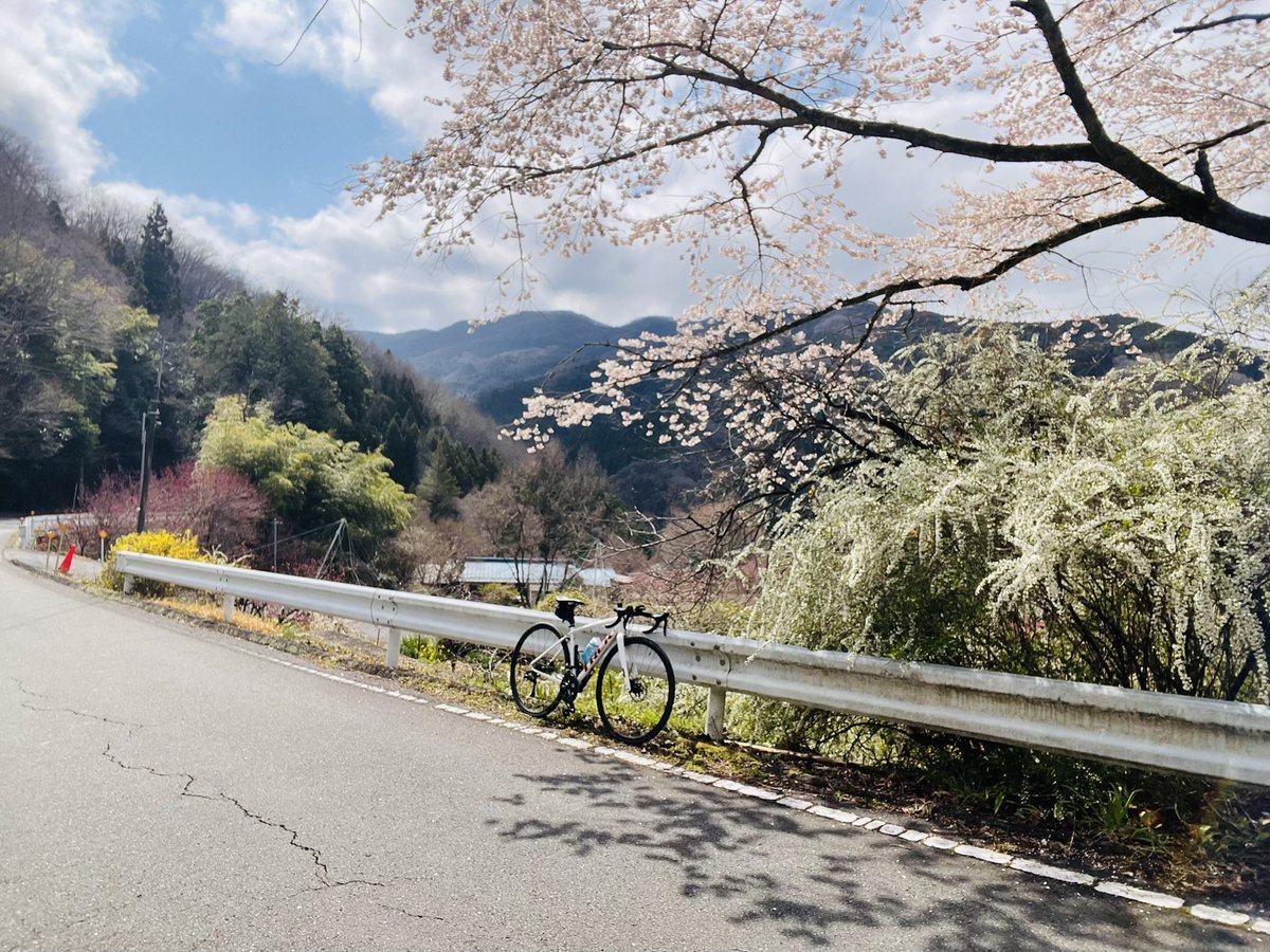 i-shizuka🚴‍♀️ tweet media