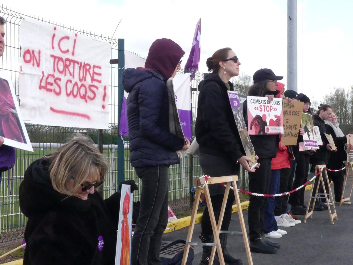 Sabine VG BCK Ⓥ🌻🇺🇦🐾🪶 tweet media