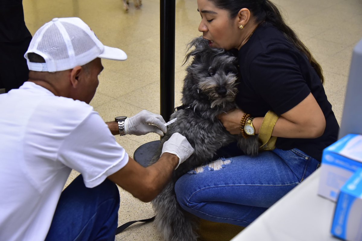 Secretaría Local de Salud de Valledupar tweet media