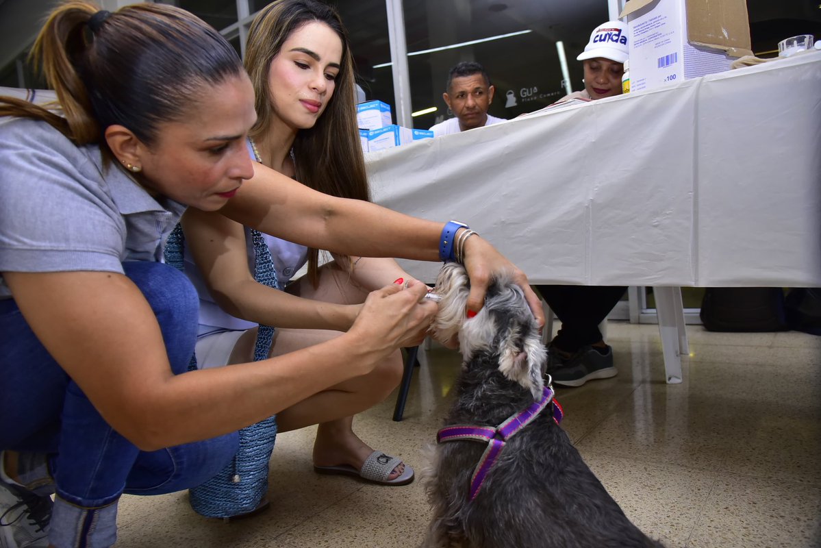 Secretaría Local de Salud de Valledupar tweet media