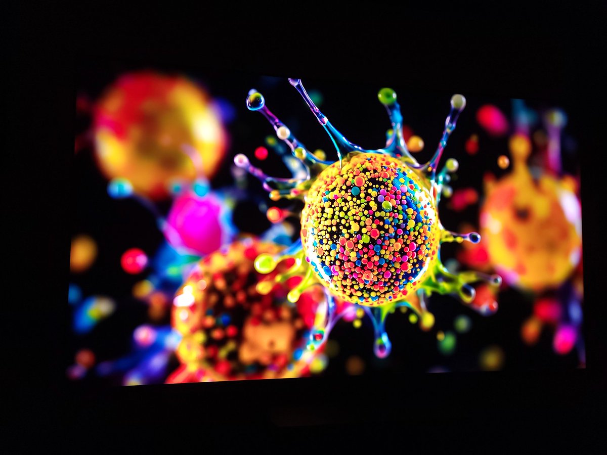 TyrannicalHavoc tweet media