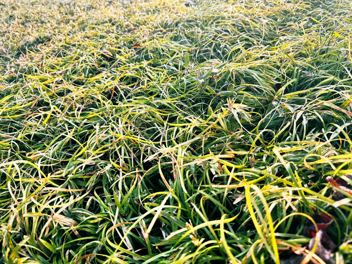 まamiCo@バッキングのbub tweet media