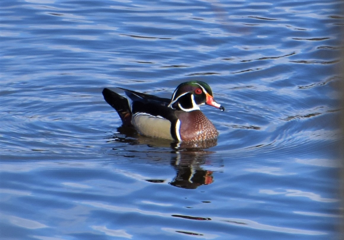 The Only James Magelk tweet media